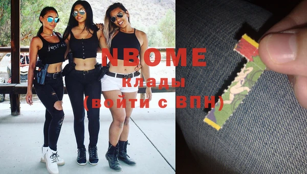 индика Алзамай