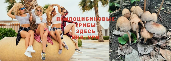 индика Алзамай