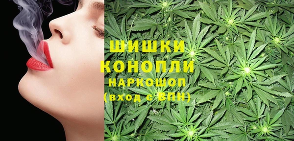 МДПВ Алексеевка