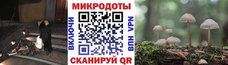 Псилоцибиновые грибы мицелий  MEGA tor  Черкесск 